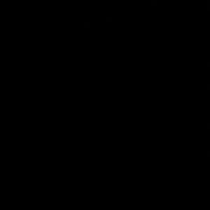 Meet your Posher, Favi